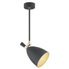 CHARLOTTE 4686 lampa wisząca 1 pł.