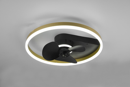 BORGHOLM R67083132
