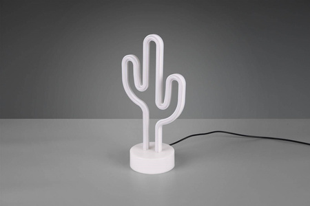 CACTUS R55220101