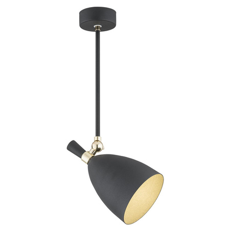 CHARLOTTE 4686 lampa wisząca 1 pł.