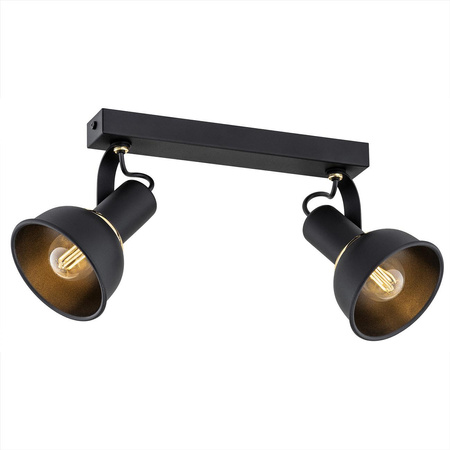 TWIST 7037 plafon 2 pł.