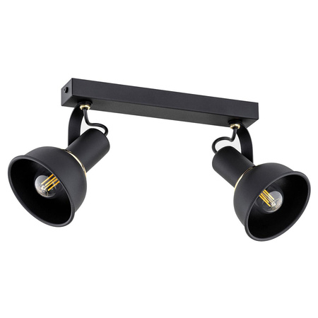 TWIST 7037 plafon 2 pł.