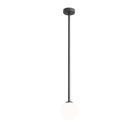 PLAFON PINNE LONG BLACK