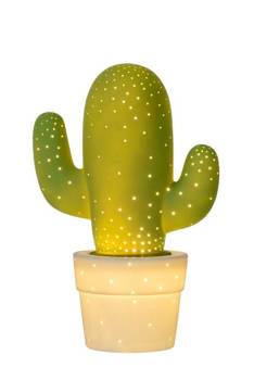 CACTUS 13513/01/33